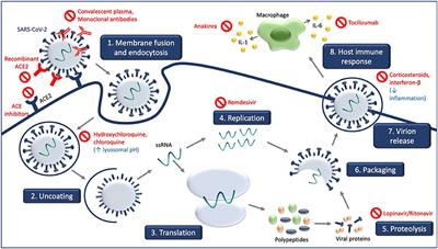 Frontiers | The COVID-19 Treatment Landscape: A South African ...